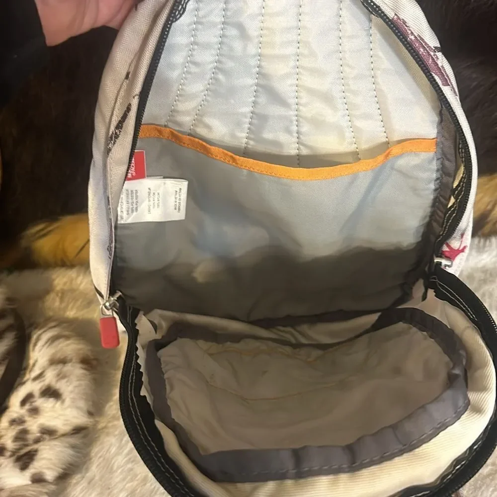 The North face mini backpack (3450)